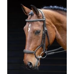 Shires Salisbury Brampton Bridle