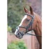 Shires Avignon Grackle Bridle -Equestrian Sales Store 3922 black 1