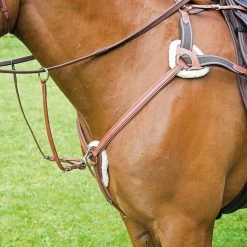 Shires Avignon Five Point Breastplate -Equestrian Sales Store 3925 oak 1