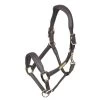 Shires Velociti Rapida Comfort Leather Headcollar -Equestrian Sales Store 4182 havana