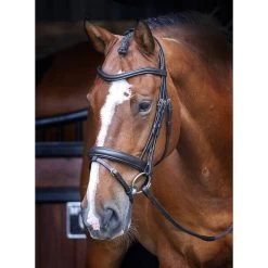 Shires Velociti RAPIDA Dressage Bridle With Flash -Equestrian Sales Store 5073 black 2