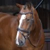 Shires Velociti RAPIDA Dressage Bridle With Flash -Equestrian Sales Store 5073 havana