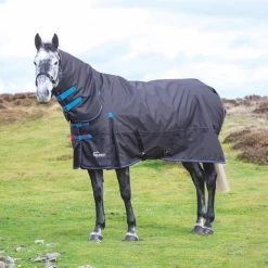 Shires Highlander Original 200 Medium Combo Turnout Rug 200g Black