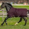 Horseware Amigo Hero Ripstop Lite 0g Turnout Rug Fig/Navy & Tan -Equestrian Sales Store aapa90 gfbm