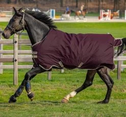 Horseware Amigo Hero Ripstop Lite 0g Turnout Rug Fig/Navy & Tan
