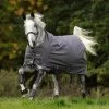 Horseware Amigo Bravo 12 Original Lite Turnout Rug 0g Excalibur/Plum
