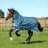 Horseware Amigo AmECO 12 Plus 100g Lite Turnout Rug Teal/Grey 1 Horseware Amigo AmECO 12 Plus 100g Lite Turnout Rug Teal/Grey -Equestrian Sales Store aaroj2 ctj0 10