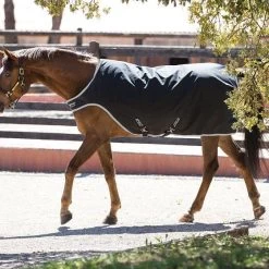 Horseware Amigo 200g Medium Walker Rug Black/Silver