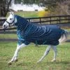Horseware Amigo Pony Plus 50g Lite Turnout Rug Black Check Teal/Silver 2 Horseware Amigo Pony Plus 50g Lite Turnout Rug Black Check Teal/Silver -Equestrian Sales Store akpp91 kcti