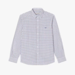 RM Williams Mens Collins Button Down Shirt -Equestrian Sales Store collins standard collar shirt 1