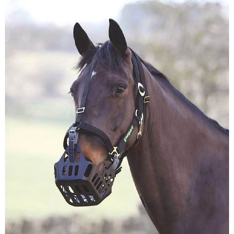 Shires Greenguard Headcollar Black 3 Shires Greenguard Headcollar Black