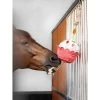 LeMieux Horse Toy -Equestrian Sales Store it03911 lifestyle horsetoy cupcake 2