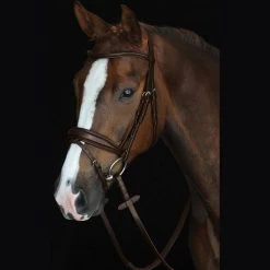 Collegiate Mono Crown Padded Raised Flash Bridle Brown
