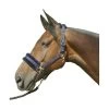 Hy Equestrian Faux Fur Padded Headcollar & Leadrope -Equestrian Sales Store pr 16214 hy faux fur padded head collar with lead rope 01 3