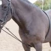 Shires Soft Lunging Aid 1 Shires Soft Lunging Aid -Equestrian Sales Store shires soft lunging aid