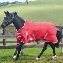 WeatherBeeta ComFiTec Classic Lite Turnout Rug 0g Red