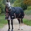 WeatherBeeta ComFiTec Premier Therapy-Tec Medium Turnout Rug 220g Black 1 WeatherBeeta ComFiTec Premier Therapy-Tec Medium Turnout Rug 220g Black -Equestrian Sales Store weatherbeeta comfitec premier therapy tec medium turnout rug 220g black 3