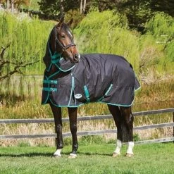 WeatherBeeta Green-Tec 900D Heavy Turnout Rug 360g Black/Bottle Green